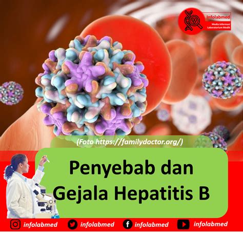 Penyebab Dan Gejala Hepatitis B