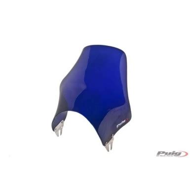 Cbris Modelo Naked Kawasaki Z Rs C Azul