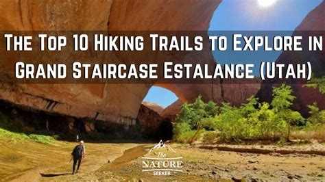 16 Best Hikes in Grand Staircase Escalante National Monument