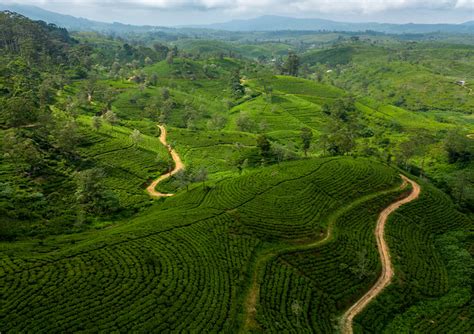 Hiking In Sri Lanka Breathtaking Trails At The Pekoe Trail