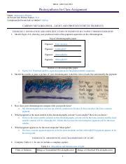 Warren Photosynthesis ICA Pdf BIOL 1208 Fall 2021 Photosynthesis In