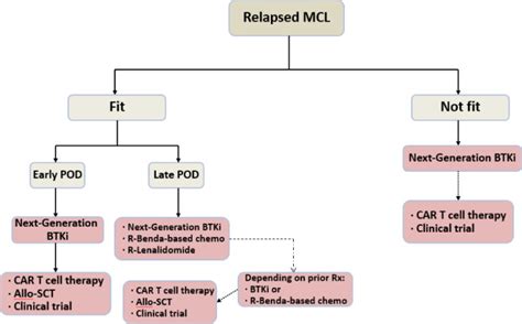 Treatment Landscape Of Relapsed Refractory Mantle Cell Lymphoma An