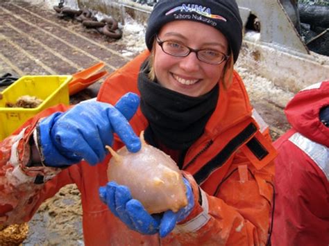 Giant, Unknown Animals Found off Antarctica