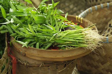 Manfaat Kangkung Untuk Ibu Hamil Dan Janin Hello Sehat