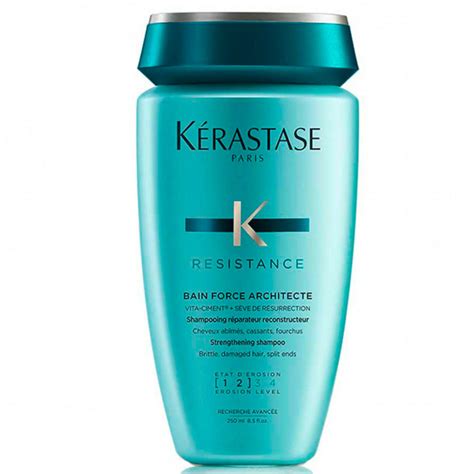 Verwandelt Sich In Schuldner Gouverneur Kerastase Architecte Shampoo