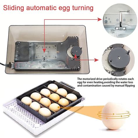 Incubadora de huevos máquina de incubación de aves de corral digital