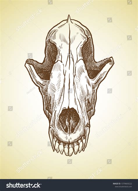 Wolf Skull Graphics