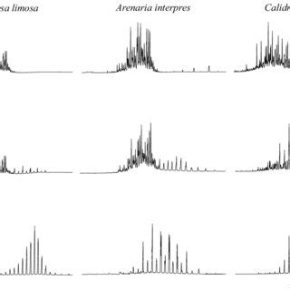 Gas chromatograms of typical (a) monoester, (b) mono/diester, and (c ...