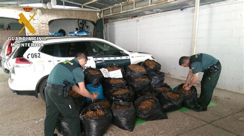 La Guardia Civil Aprehende 180 Kilogramos De Hojas De Tabaco Y Detiene