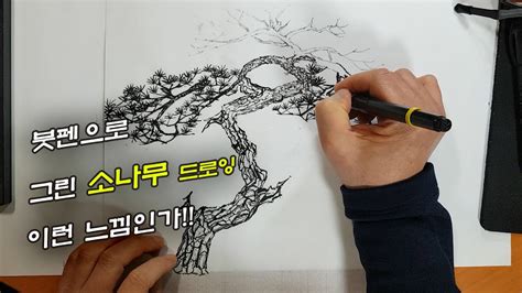 Bunjae분재 51붓펜으로 그린 고목의 소나무 이런 느낌인가드로잉알기쉬운 분재와 조경초보분재탈출 Youtube