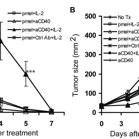 Anti Cd40 Monoclonal Antibody Mab Induces Expansion Of Adoptively