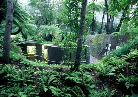 Forest Gallery Melbourne Museum — Convergence Design Interpretive