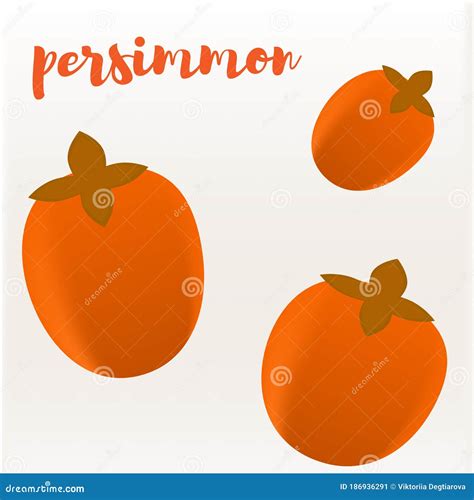 Sharon Persimmon Asian Japanese Kaki Exotic Juicy Fruit Botanical