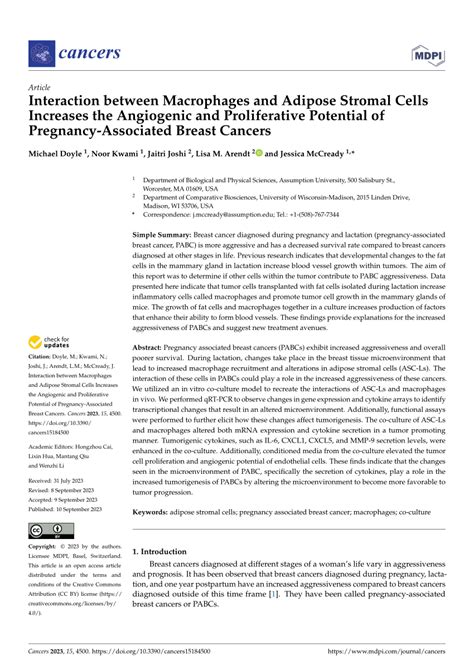 PDF Interaction Between Macrophages And Adipose Stromal Cells