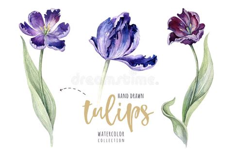 Floral Tulip Ditsy Stock Vector Illustration Of Design