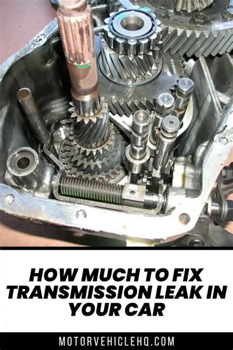 How Much To Fix Transmission Leak In Your Car Motor Vehicle Hq