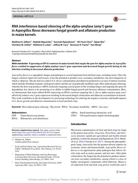 Rna Interference Based Silencing Of The Alpha Amylase Amy1 Gene In