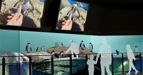 写真水族館がサクラ色に染まる マクセル アクアパーク品川NAKED SAKURA AQUARIUM開催あとなびマガジン