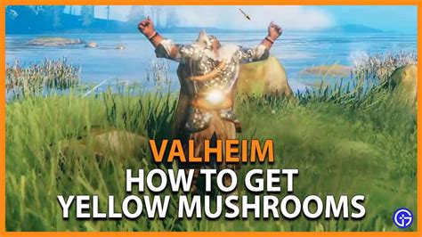 Valheim How To Get Use Yellow Mushrooms Gamer Tweak