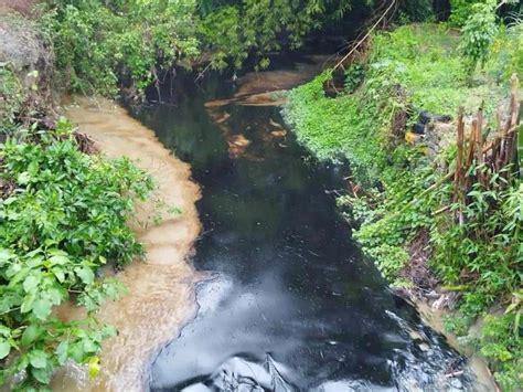 Fuga De Hidrocarburo Contamina Arroyos En Comunidades De Papantla