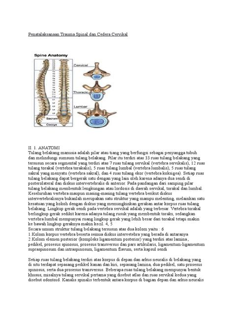 Pdf Penatalaksanaan Trauma Spinal Dan Cedera Cervikaldocx Dokumentips