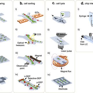 Microfluidic Devices Used For Cell Handling And Chip Interfacing A