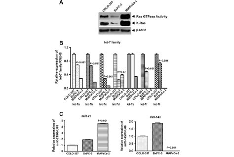 Ras Gtpase Activity And Basal Levels Of K Ras Expression In Human