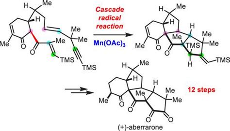 Total Synthesis Of Aberrarone Journal Of The American Chemical