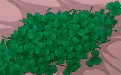 Clovers By Dracoawesomeness On Deviantart