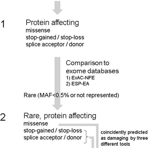 Workflow Of Variant Filtering In Three Steps Snv Single Nucleotide