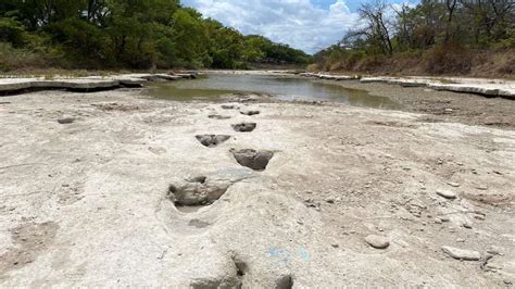 Tracce Di Dinosauro La Siccit Regala Una Scoperta Straordinaria