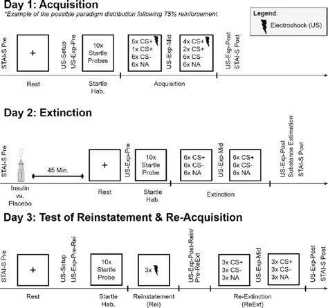 Diagram Of The Experimental Design Download Scientific Diagram