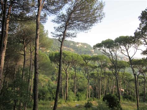 Top 10 Parks And Nature Attractions In Lebanon