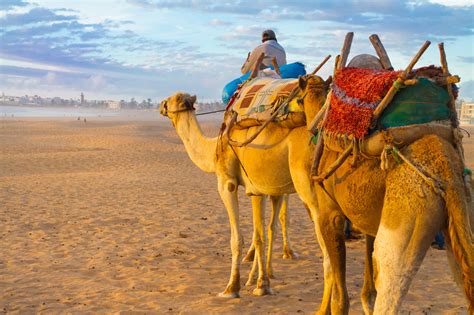 Les 10 Plus Belles Plages Du Maroc Hors Circuit