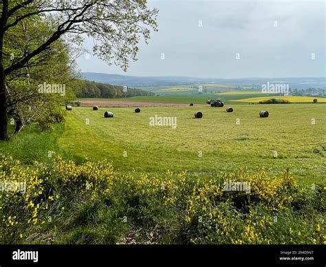 landscape   eifel stock photo alamy