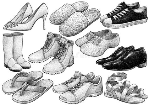 Illustrazione Della Raccolta Delle Scarpe Disegno Incisione