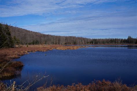 The Headwaters Of The Grasse Rivers South Branch Hiking The Trail To