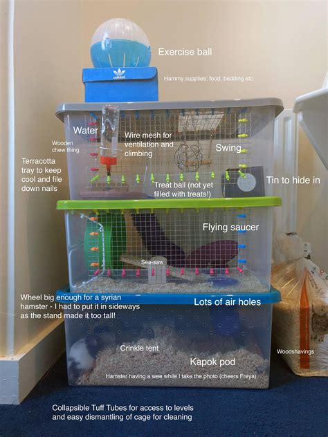 Cheap Homemade Multi Storey Hamster House Ifttt2qtvx9t