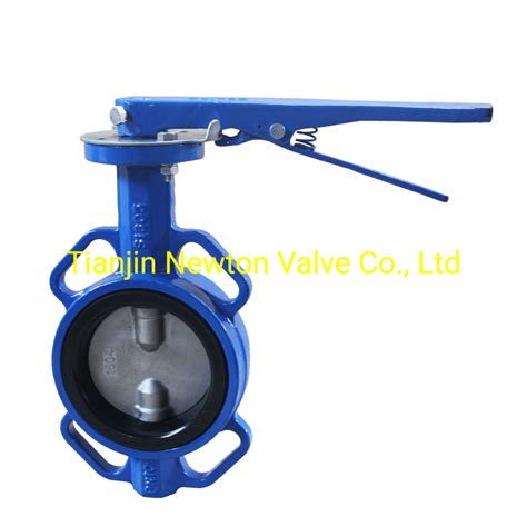 Multiflanges Standards Connection Pn Pn Pn Ansi Wafer Type