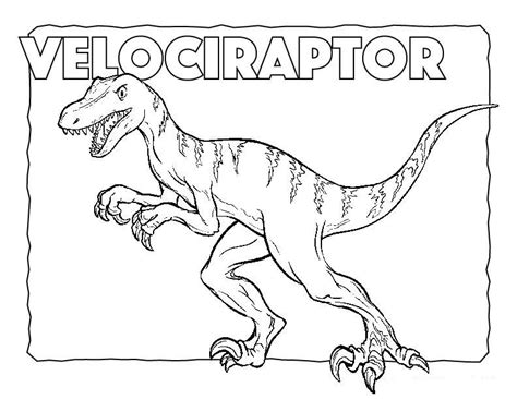 Desenhos De Velociraptor Para Colorir Pintar E Imprimir