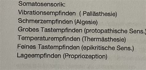 Das Sensorische System Karteikarten Quizlet