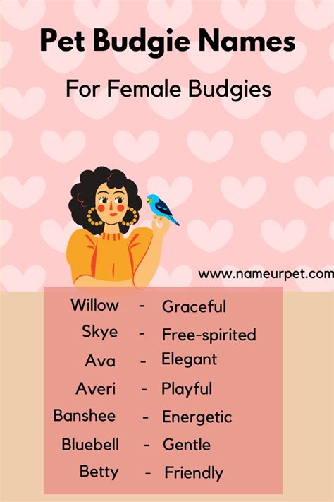 Budgie Names: Unique Female Budgie Names