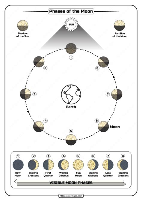 Phases Of The Moon Worksheet Pdf