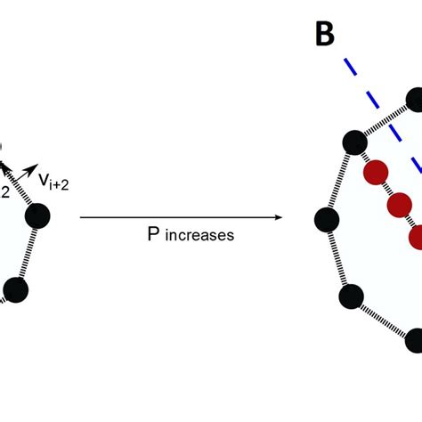 Mass Spring Model For A Cell A Forces Acting On Mass Point I In An Download Scientific