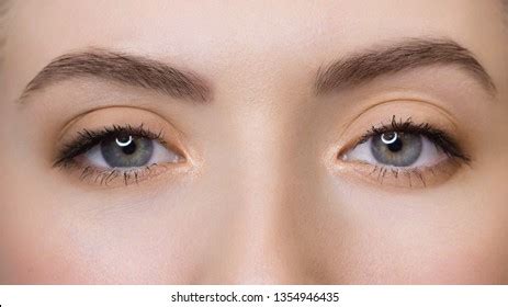 Brown Eyeliner Model Over Royalty Free Licensable Stock Photos