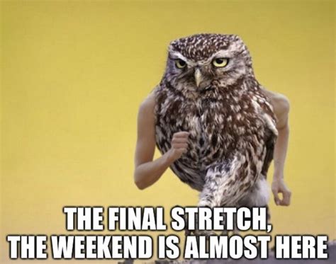 Almost Weekend Meme