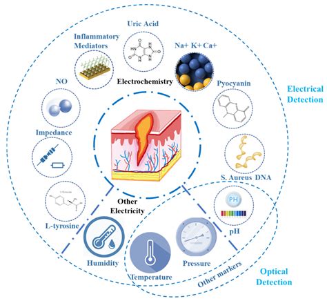 Biosensors Free Full Text A Review Of Recent Advances In Flexible