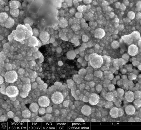 Figure S1 SEM Images Of Pd Au Co Deposits With Varied Proportions