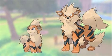 Pokemon Sword Shield Como Encontrar E Evoluir Growlithe Para Um