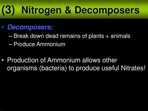 Notes The Nitrogen Cycle Ppt Download